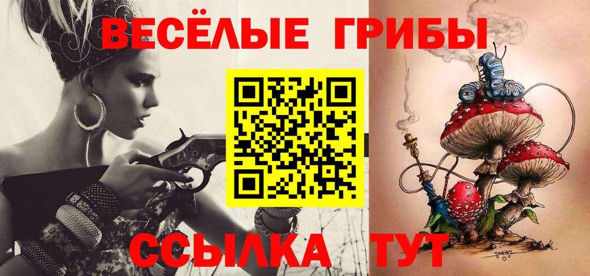 Псилоцибиновые грибы Cubensis  Вход с VPN  Каменка 