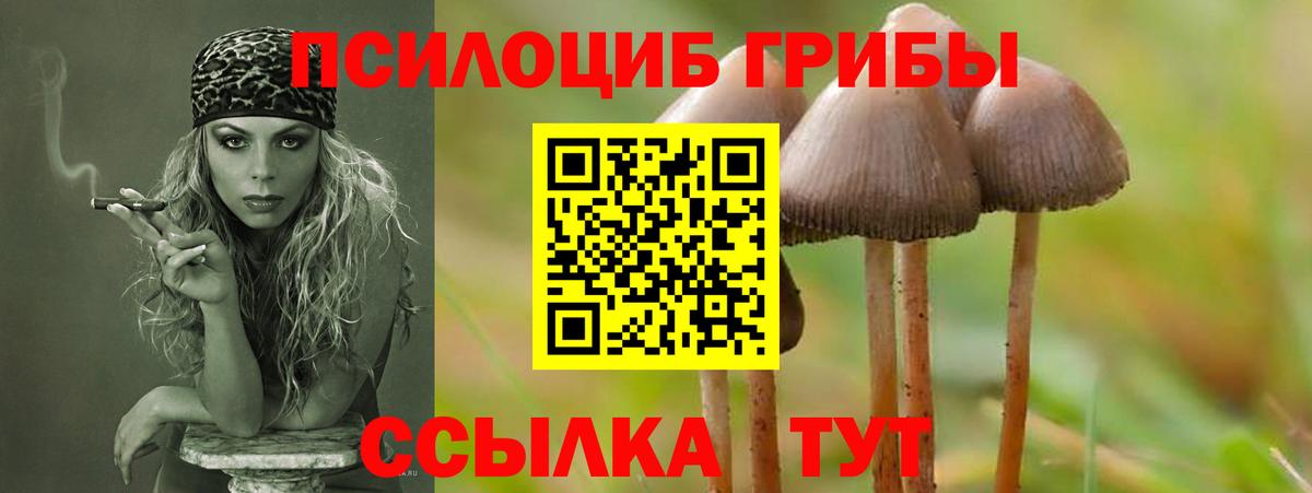 Галлюциногенные грибы GOLDEN TEACHER Каменка